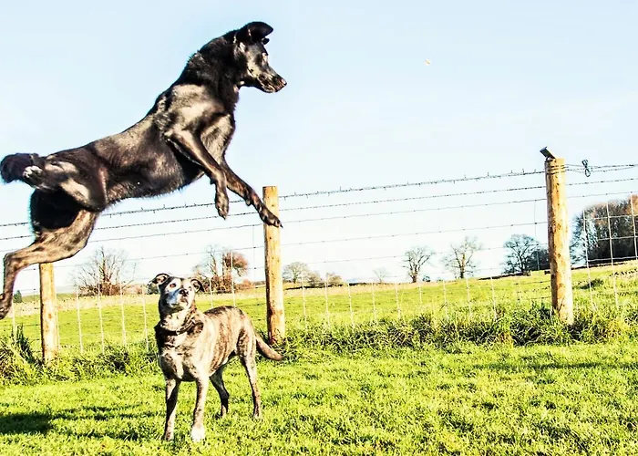 The Orchards Appartamento