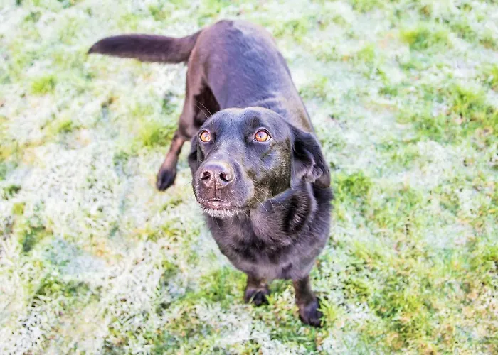 The Orchards Appartamento *